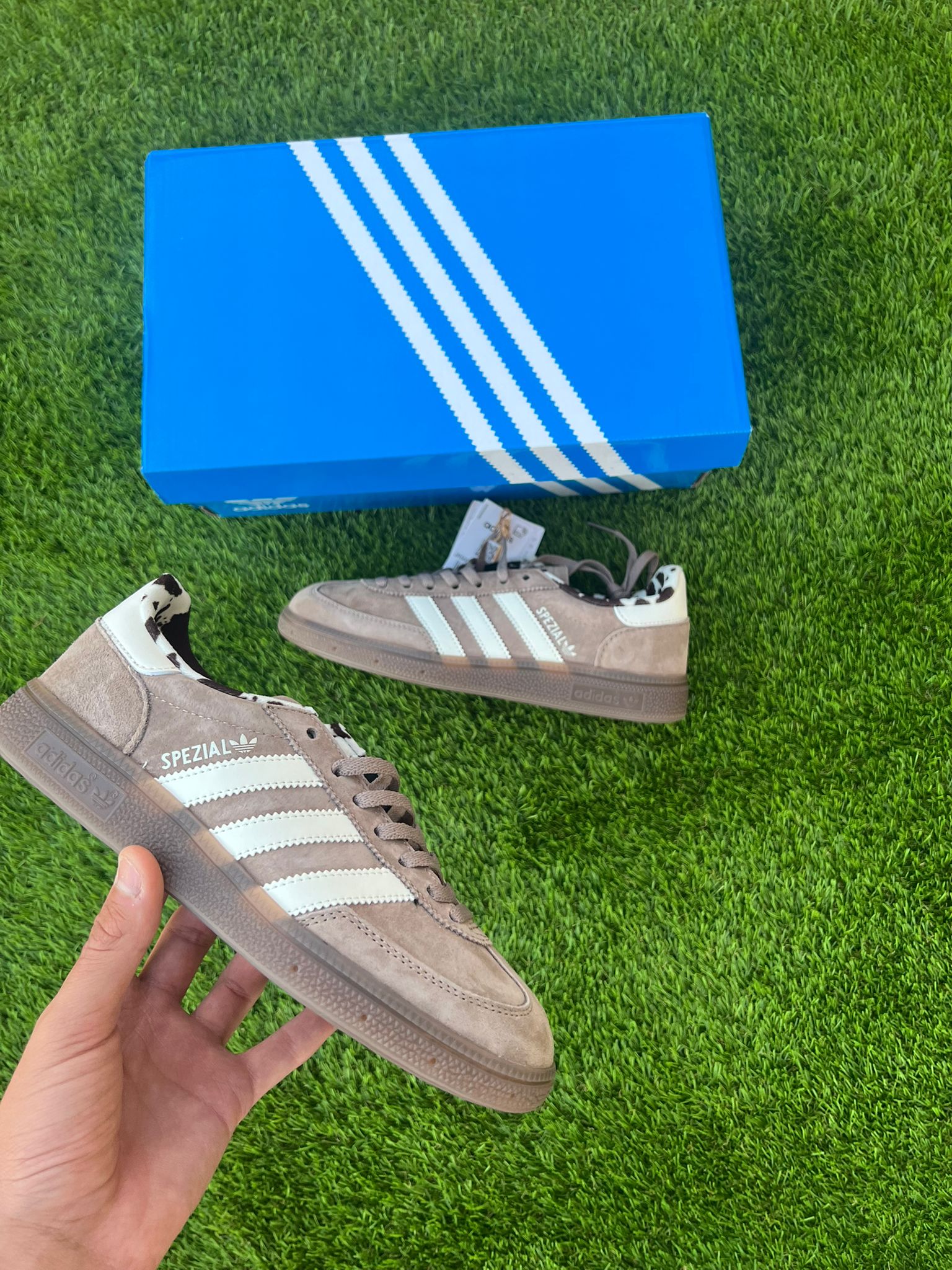 Adidas Spezial